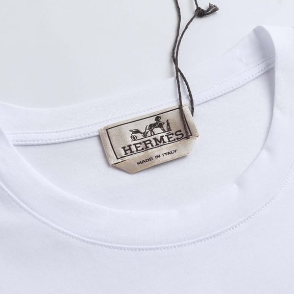 【希少♪涼し気に】エルメス Tシャツ コピー 2色 erw12324